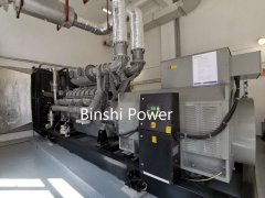 2 units high voltage Perkins diesel genset finished installation &amp; commissioning